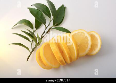 Detail of lemon cut into slices on a white table and leaves on white isolated table. Top view. Horizontal composition. Stock Photo