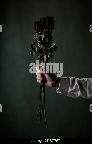 Low key photo of male hand wearing white shirt  holding dried violet roses. Drama concept. Stock Photo