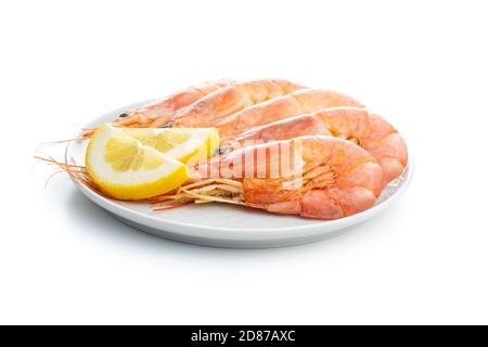 Boiled tiger prawns with lemon on plate isolated on white background. Tasty shrimps. Stock Photo