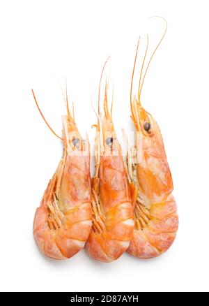 Boiled tiger prawns isolated on white background. Tasty shrimps. Stock Photo