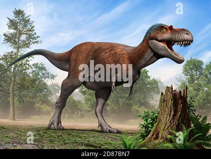 Albertosaurus sarcophagus Stock Photo