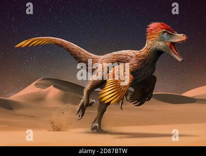 Velociraptor Running across at Mongolian Desert Stock Photo