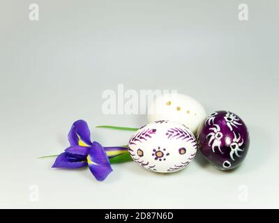 White and violet easter eggs and iris Stock Photo