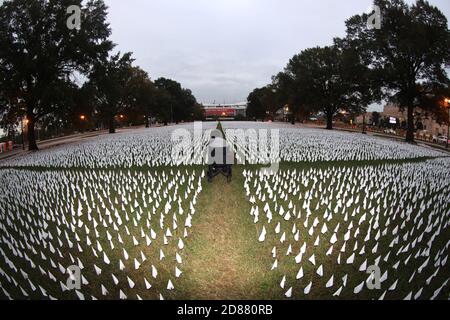 Washington, DC, USA. 27th Oct, 2020. Local artist Suzanne Brennan Firstenberg has created the public art project 'In America, How Could This Happen' adjacent to RFK Stadium at the D.C. Armory Parade Ground with small white flags showcasing the 200,000 plus Americans that have died from COVID-19 in Washington, DC on October 27, 2020. Credit: Mpi34/Media Punch/Alamy Live News Stock Photo