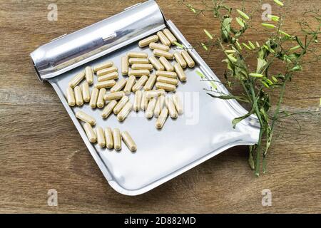 Colorful drug pill  and dried of Andrographis paniculata plant in drug counting tray on wooden background Stock Photo