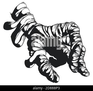 Isolated mummy hand covered with bandages in hand drawn style over white background. Stock Vector