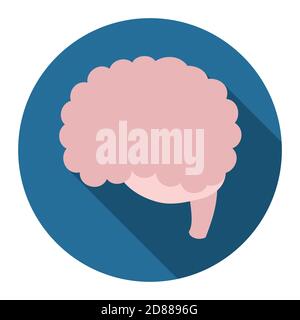 Round button with brain design in flat style and long shadow. Stock Vector