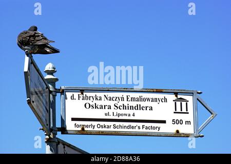 A pigeon perches on top of a sign in Krakow, Poland pointing towards the former Oskar Schindler Factory, now a museum. Stock Photo