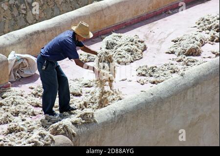 A Chouara tannery worker collects hair as part of the leather production process in the old medina of Fez, Morocco, Africa. Stock Photo