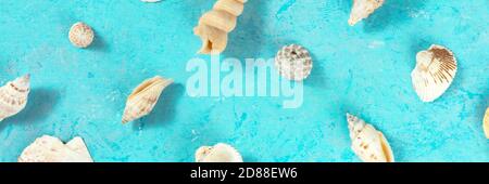 Ocean panorama with scatteres seashells, top shot on turquoise blue, a flatlay Stock Photo