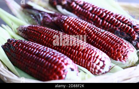 Red waxy corn or glutinous corn on wood background. Stock Photo