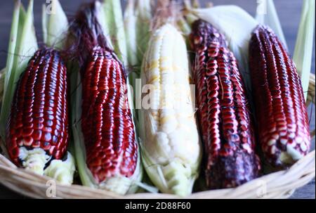 Red waxy corn or glutinous corn on wood background. Stock Photo