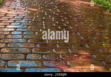 pink paving slab after rain for background Stock Photo