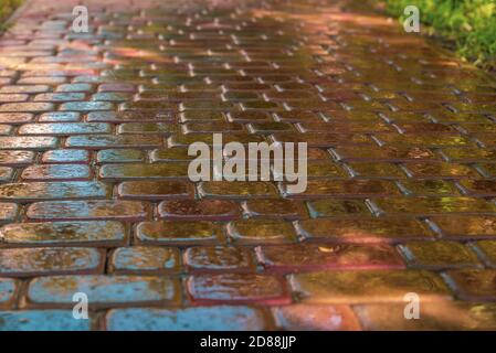 pink paving slab after rain for background Stock Photo