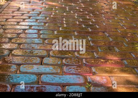 pink paving slab after rain for background Stock Photo