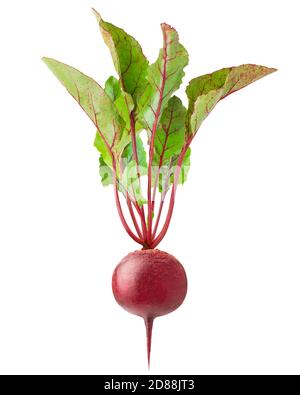 beetroot isolated on white background, clipping path, full depth of field Stock Photo