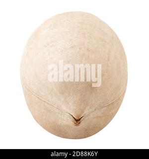 pecan, nut, isolated on white background, clipping path, full depth of field Stock Photo