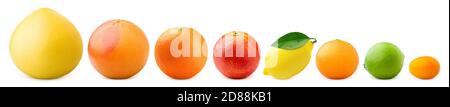 citrus isolated on white background, pomelo, grapefruit, orange, lemon, tangerine, lime, kumquat, clipping path Stock Photo