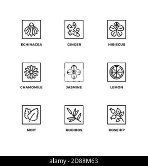Vector set of design elements, logo design template, icons and badges for the flavor of organic tea. Black and white, line icon set, editable stroke. Stock Vector