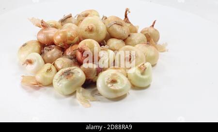 Closeup shot of freshly harvested white onions isolated on a white background Stock Photo