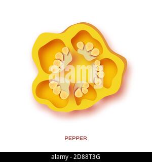 Yellow pepper slices in paper cut style on white background. Fresh vegetable. Healthy food Stock Vector