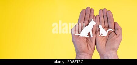 Concept of pet insurance with paper cat and dog in hands on yellow background Stock Photo