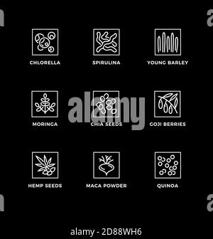 Vector set of design elements, logo design template, icons and badges for healthy food, superfood. Line icon set, editable stroke. Stock Vector