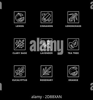 Vector set of design elements, logo design template, icons and badges for essential oils. Line icon set, editable stroke. Stock Vector