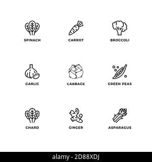 Vector set of design elements, logo design template, icons and badges for healthy vegetable. Line icon set, editable stroke. Stock Vector