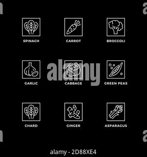 Vector set of design elements, logo design template, icons and badges for healthy vegetable. Line icon set, editable stroke. Stock Vector