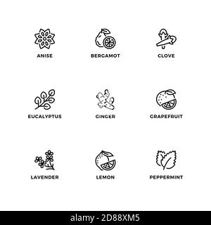 Vector set of design elements, logo design template, icons and badges for editable essential oils. Line icon set, editable stroke. Stock Vector