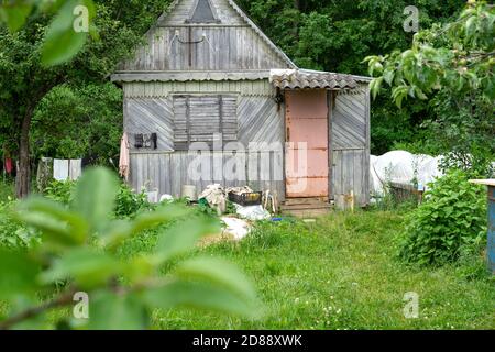 old ramshackle cottage on a summer day