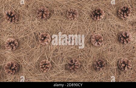 Pine cone seasonal background with copy space. Natural brown texture. Stock Photo
