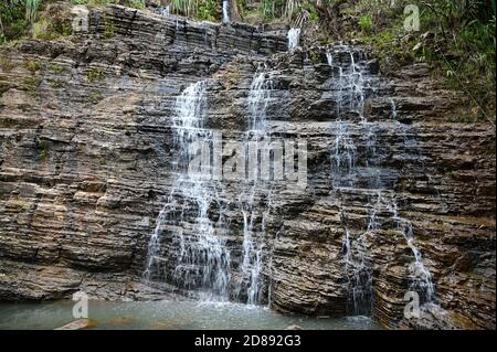 Tarzan falls in the jungle of Guam. Stock Photo