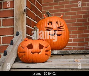 Halloween pumpkins carved with a cat face on front porch against bricks Stock Photo