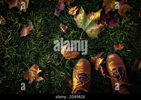 Boots and leaves, autumn sunset. Stock Photo