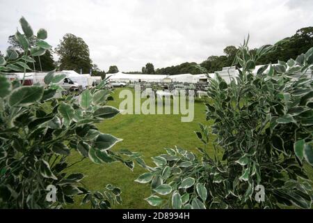 Rozelle Park, Ayr, South Ayrshire, Scotland, UK. 06 Aug 2011. Ayr Flower show,The annual flower & horticultural show  is held over three days Stock Photo