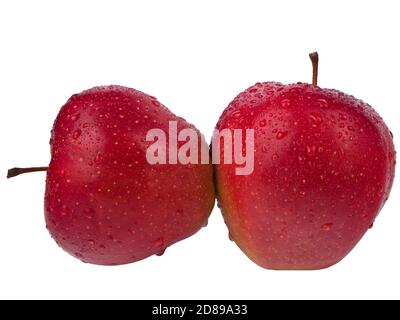 Couple of  red apples with droplets isolated on white background Stock Photo