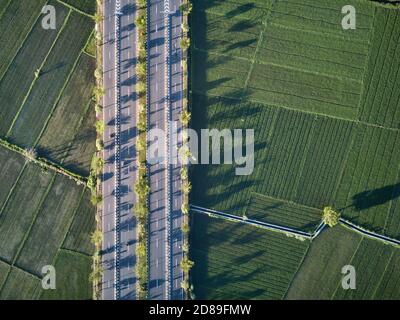 Aerial view of cyclists on a road through rural landscape, Mataram city, Lombok, Indonesia Stock Photo