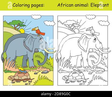 Vector coloring pages with cute elephant in african area. Cartoon isolated colorful illustration. Coloring and colored image of elephant. For coloring Stock Vector