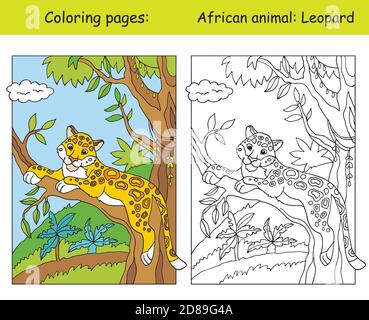 Vector coloring pages with cute leopard in african area. Cartoon isolated colorful illustration. Coloring and colored image of leopard. For coloring b Stock Vector