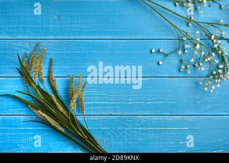 Two bouquets or sprigs of wildflowers on a blue wooden desktop. Floral background. Concept of plants and nature. Close up, copy space Stock Photo