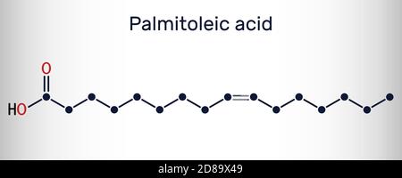 Palmitoleic acid, palmitoleate molecule. It is an omega-7 monounsaturated fatty acid. Skeletal chemical formula. Vector illustration Stock Vector