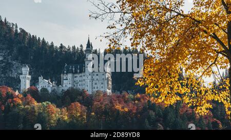 Castle New Schwanstein in autumn surrounded by colorful tress Stock Photo