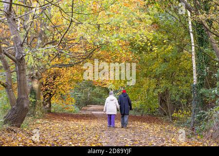 Daventry, Northamptonshire - 28/10/20: An elderly couple, with their backs towards us, walk down a leaf-strewn path beneath trees with autumn foliage. Stock Photo