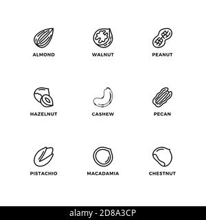 Vector set of design elements, logo design template, icons and badges for nuts. Line icon set, editable stroke. Stock Vector
