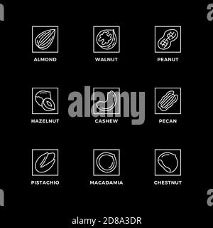 Vector set of design elements, logo design template, icons and badges for nuts. Line icon set, editable stroke. Stock Vector