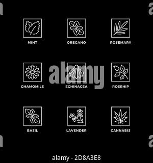 Vector set of design elements, logo design template, icons and badges for nature herbs. Line icon set, editable stroke. Stock Vector