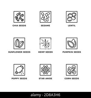 Vector set of design elements, logo design template, icons and badges for seeds. Line icon set, editable stroke. Stock Vector