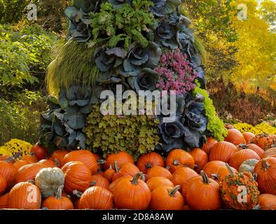 Beautiful display of ornamental kale, mums, pumpkins, Mexican feather grass and hakone grass Stock Photo